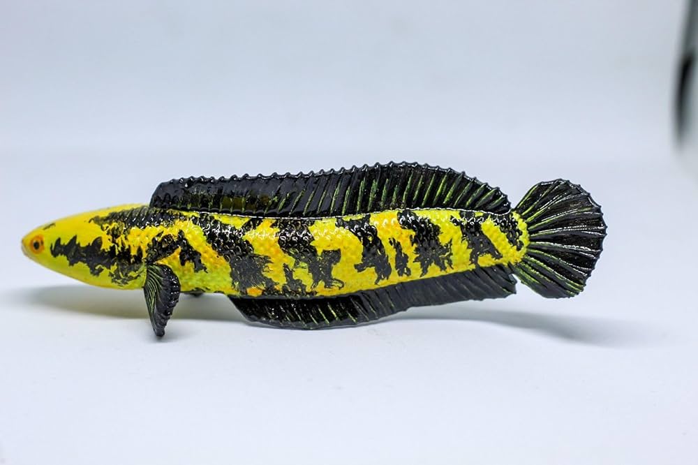 Yellow sentarum